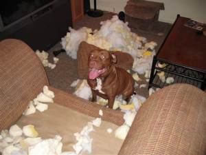 070419_22169_aries_destruction_ug.grid-6x2