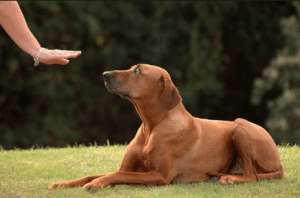 Screen Shot 2014-10-08 at 10.03.20 AM