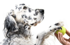 Screen Shot 2014-10-08 at 10.04.38 AM