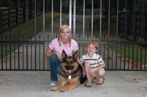 FamilyEstateProtectionCompanion