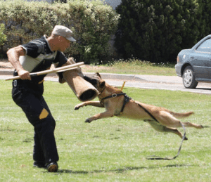 Screen Shot 2014-10-07 at 11.22.25 AM