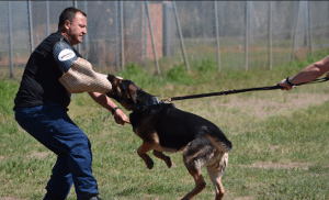 Screen Shot 2014-10-07 at 11.22.34 AM